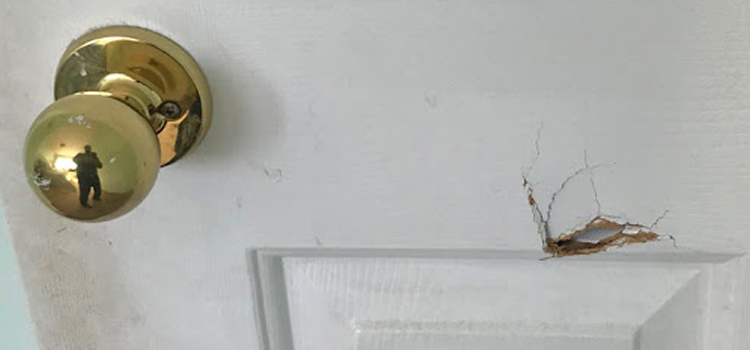 interior door hole repair Petaluma